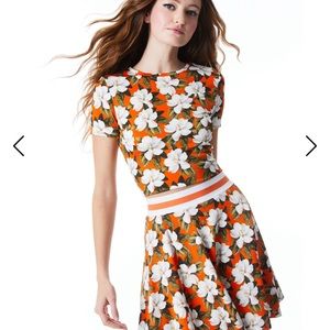 Alice + Olivia - CINDY CLASSIC CROPPED TEE - size XL